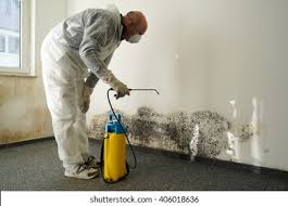 Best Water Damage & Mold Remediation in Collinsville, CT